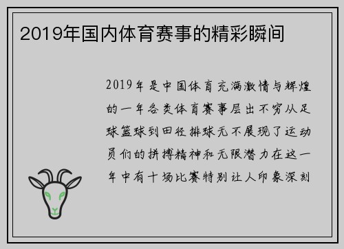 2019年国内体育赛事的精彩瞬间